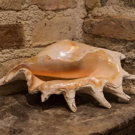 Korifo Old Town By Corfuescapes Apartamento *