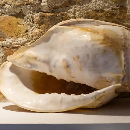 Korifo Old Town By Corfuescapes Apartamento Corfu (city)